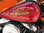 Harley Davidson Softail FXST-C mit Sonderlackierung