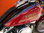 Harley Davidson Softail FXST-C mit Sonderlackierung