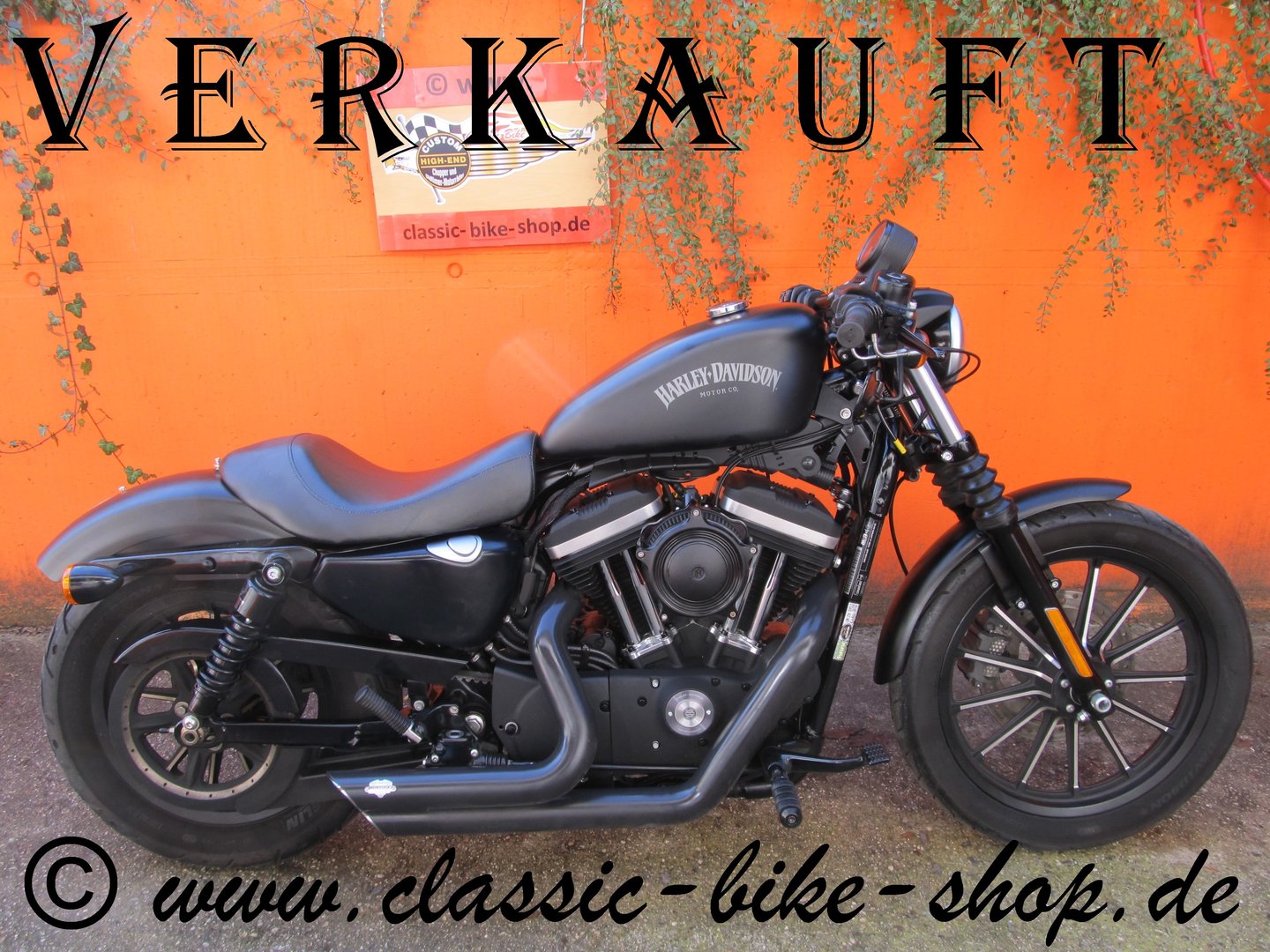 Harley Davidson Sportster 883 Iron In Matt Schwarz Classic Bike Shop Holzhausen Der Onlineshop