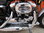 HARLEY DAVIDSON SPORTSTER 1200 CUSTOM - DEUTSCHES MODELL
