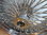 HARLEY DAVIDSON BIG SPOKE RAD TÜV 18 x 5.5" HINTERRAD TOURING 08-2021 CHROM